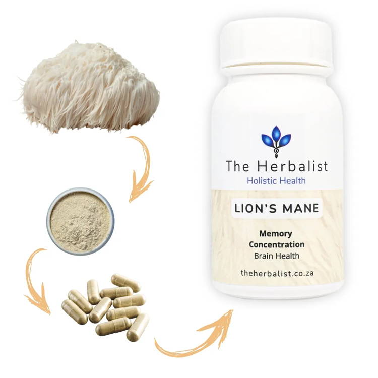 Lions Mane 60 / 120 Capsules